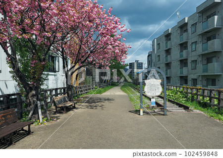 Otaru Former JNR Temiya Line Walking Road 102459848