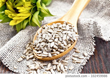 Seeds sunflower peeled in spoon on table Seeds sunflower peeled in spoon on table 102459986