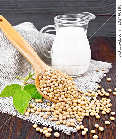 Soybeans in spoon with milk on dark board Soybeans in spoon with milk on dark board 102460190