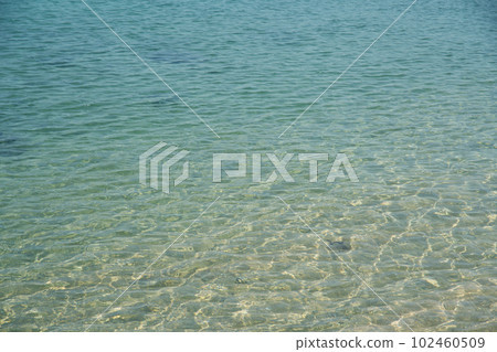 美麗的海岸 美麗的海岸 102460509