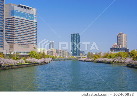 大阪毛馬櫻之宮公園櫻花大川 大阪毛馬櫻之宮公園櫻花大川 102460958