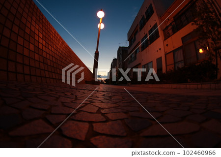 黃昏的道路和街燈 102460966