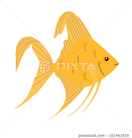 Cartoon angel fish isolated on white background. Cartoon angel fish isolated on white background. 102461928