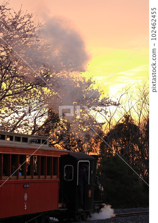 輕軌蒸汽機車和木客車在夕陽染紅的天空下行駛 輕軌蒸汽機車和木客車在夕陽染紅的天空下行駛 102462455