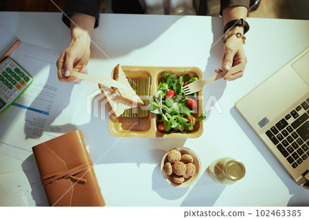 accountant woman in green office eating salad accountant woman in green office eating salad 102463385