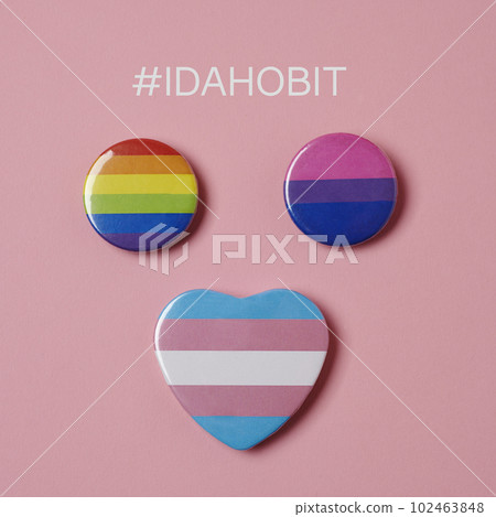 LGBTIQ pride flags and text IDAHOBIT 102463848