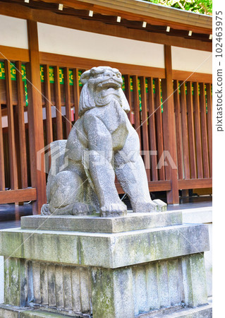 Komainu in front of the front shrine of Nogi Shrine (Akasaka, Minato-ku, Tokyo) Komainu in front of the front shrine of Nogi Shrine (Akasaka, Minato-ku, Tokyo) 102463975