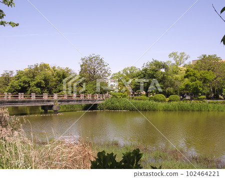 生有新綠的萬代池 102464221