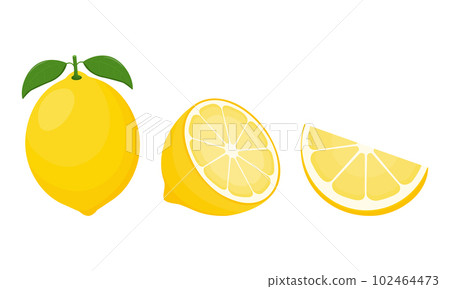 Fresh lemon fruit. Collection of lemone vector icons isolated on white background. Vector 102464473