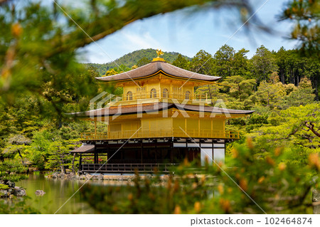Kinkakuji from between the pine trees Kinkakuji from between the pine trees 102464874