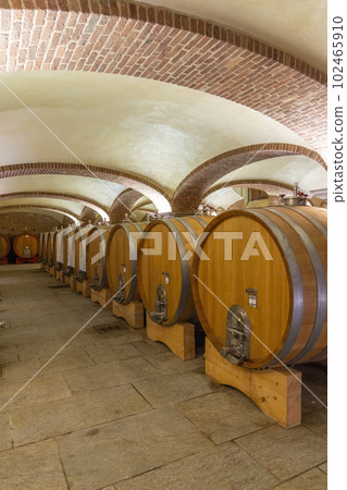Wine cellar in Piedmont, Italy 102465910