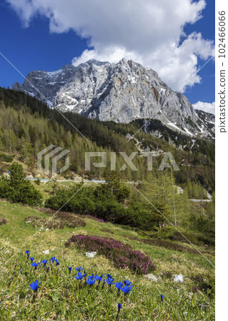 Landscape near Vrsic, Triglavski national park, Slovenia 102466066