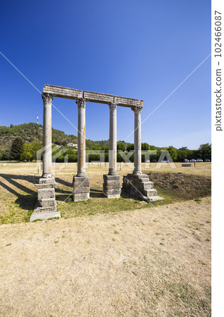 ruins of Roman temple in Riez, Alpes-de-Haute-Provence , France 102466087