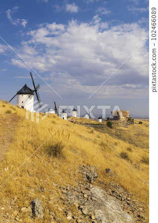 windmills and castle of Consuegra, Castilla La Mancha, Spain 102466089