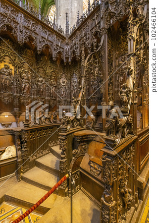 Auch Cathedral (Cathedrale Sainte-Marie d Auch), UNESCO site, Midi-Pyrenees, France 102466104