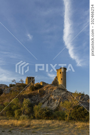 Chateau de Hers ruins near Chateauneuf-du-Pape, Provence, France 102466254