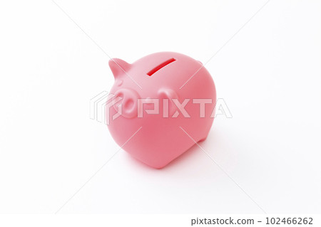 Piggy Bank Piggy Bank 102466262
