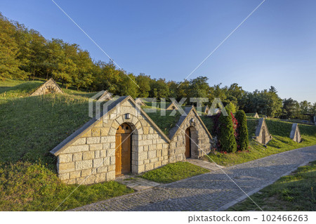 Autumnal Gombos-hegyi pincesor in Hercegkut, UNESCO site, Great Plain, North Hungary 102466263