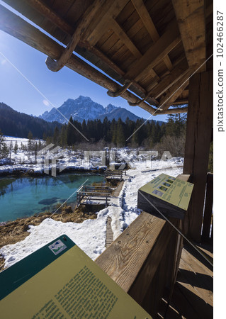 winter landscape in Zelenci, Slovenia 102466287