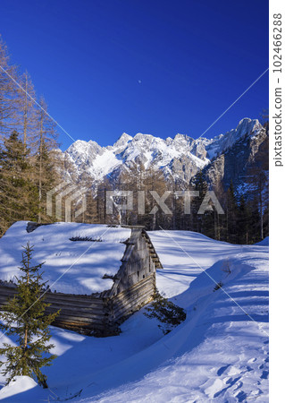 Winter landscape near Vrsic, Triglavski national park, Slovenia 102466288