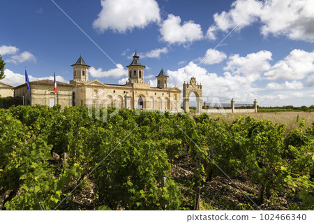Vineyards with Chateau Cos d'Estournel, Bordeaux, Aquitaine, France Vineyards with Chateau Cos d'Estournel, Bordeaux, Aquitaine, France 102466340