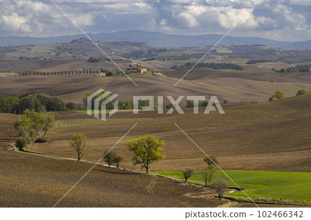 Typical Tuscan landscape near Siena, Tuscany, Italy 102466342