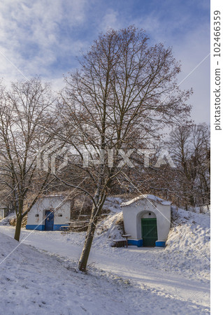 Group of typical outdoor wine cellars in Plze near Petrov, Southern Moravia, Czech Republic 102466359