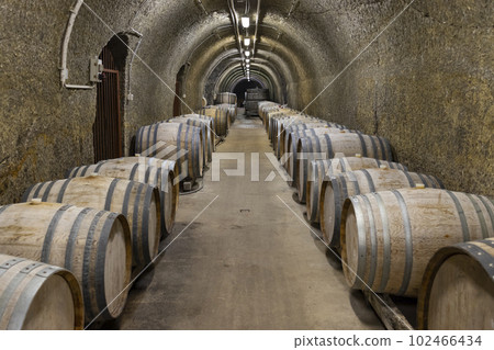 Wine cellars with barrels, traditional wine called Bikaver near Eger, Hungary 102466434