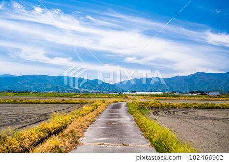 Rural landscape and mountain scenery in spring 102466902