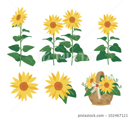 Sunflower set 102467121