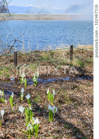 綠湖芭蕉公園【鹽尻市】 綠湖芭蕉公園【鹽尻市】 102467316