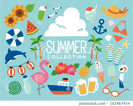 Cute summer illustration set 102467454