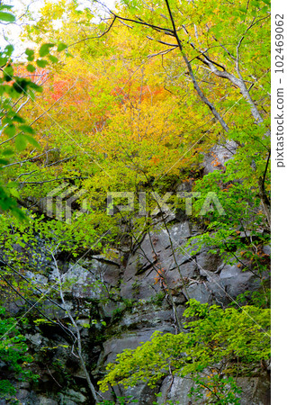 Autumn Oirase mountain stream 102469062