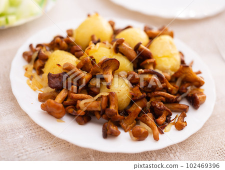 appetizing fried chanterelle mushrooms with new potatoes on white plate appetizing fried chanterelle mushrooms with new potatoes on white plate 102469396
