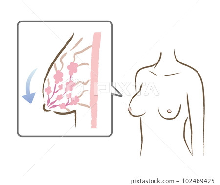Drooping bust figure and body illustration Drooping bust figure and body illustration 102469425