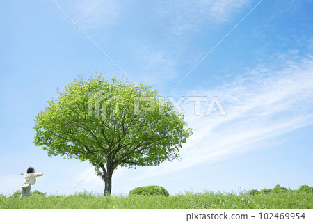A child standing in a field with a lone tree on a sunny day 102469954