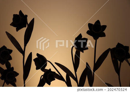 Flower shadow 102470324