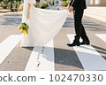 dress wedding crosswalk 102470330