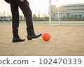 soccer ball    102470339
