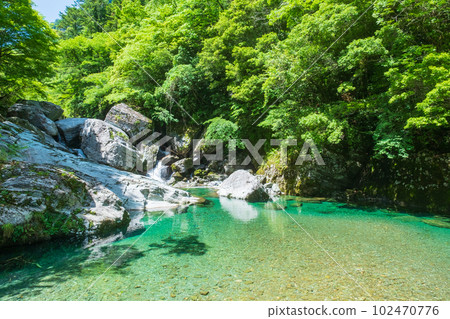 安井溪谷（仁淀藍）：荒尾溪谷 102470776