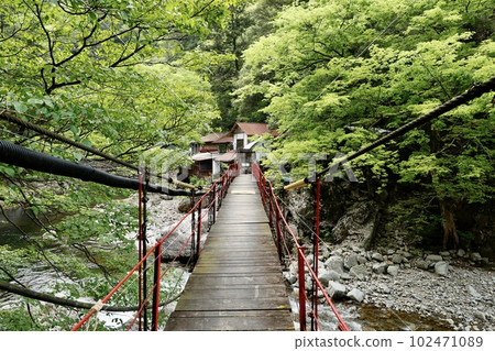 Bridge over Kurobuchi in Sandankyo 102471089