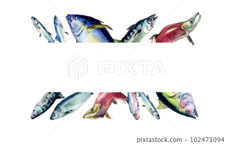 Frame of various fresh sea fish watercolor illustration isolated on white. Wild fish, tuna, salmon, herring, anchovy hand drawn. Design element for cookbook, signboard, menu, market, packaging 102471094