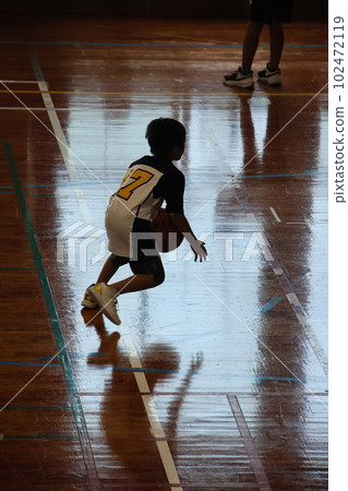 Mini basket 102472119