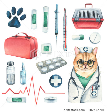 Veterinary set with doctor cat, pet carrier, medicines. Watercolor illustration, hand drawn. Isolated objects on a white background, for the design of clinics, hospitals, pharmacies, medicines. Veterinary set with doctor cat, pet carrier, medicines. Watercolor illustration, hand drawn. Isolated objects on a white background, for the design of clinics, hospitals, pharmacies, medicines. 102472701