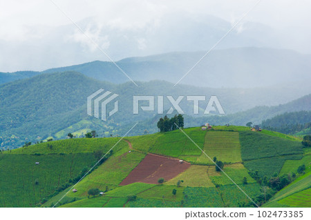 Green Terraced Rice Field, green rice fields in the countryside in Chiang Mai, Thailand. Green Terraced Rice Field, green rice fields in the countryside in Chiang Mai, Thailand. 102473385