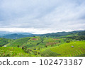 Green Terraced Rice Field, green rice fields in the countryside in Chiang Mai, Thailand. 102473387