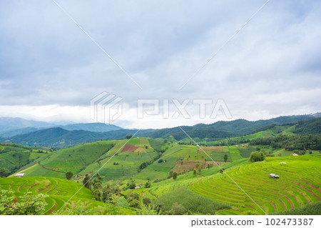 Green Terraced Rice Field, green rice fields in the countryside in Chiang Mai, Thailand. Green Terraced Rice Field, green rice fields in the countryside in Chiang Mai, Thailand. 102473387