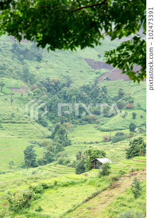 Landscape view of rice terraces and house of Thailand hill tribe. The village is in a valley among the rice terraces in Mae Jam, Chiang Mai, Thailand. Landscape view of rice terraces and house of Thailand hill tribe. The village is in a valley among the rice terraces in Mae Jam, Chiang Mai, Thailand. 102473391