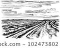 Simple hand-drawn vector drawing in black outline. Rural landscape, steppe road, farm fields, grass, bushes and trees on the horizon. Nature, summer. Ink sketch. 102473802