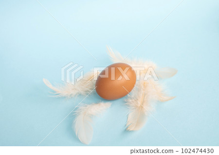 A red chicken egg lies on a blue background. Pink bird feathers are scattered on the table. Top view 102474430